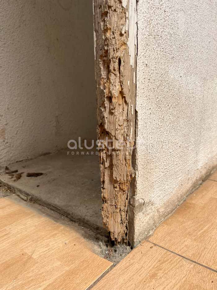 Puerta o marco de madera afectado por carcoma