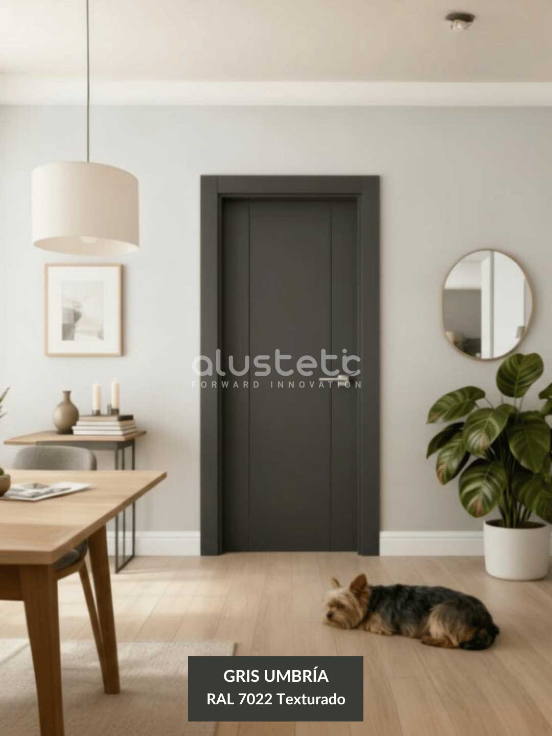 Renders portes - 200 2FV Gris umbria